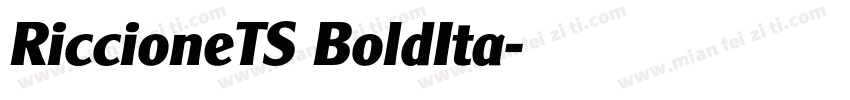 RiccioneTS BoldIta字体转换
